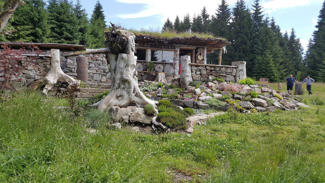 ChataPlešivka Abertamy Exteriér fotografie